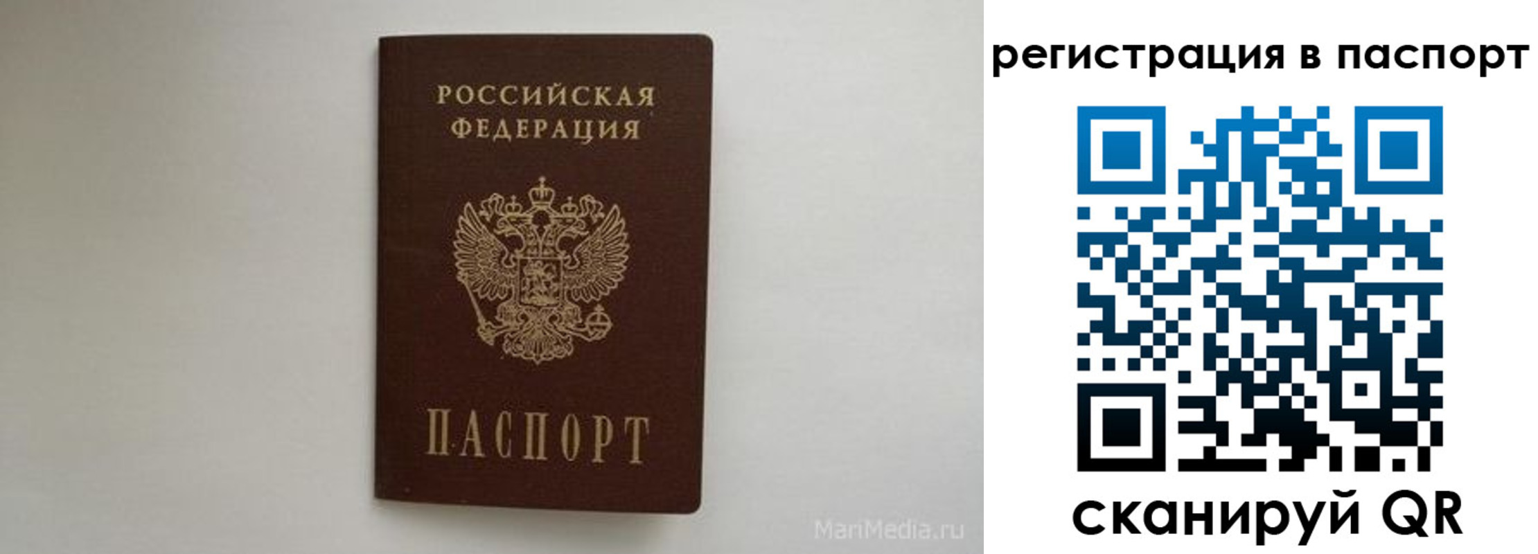 прописка в Калининградской области